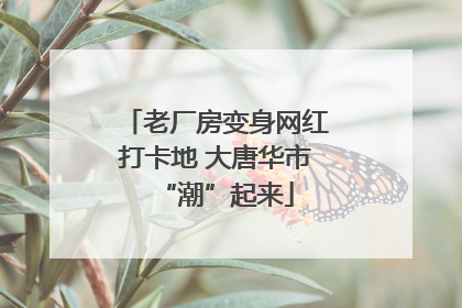 老厂房变身网红打卡地 大唐华市“潮”起来