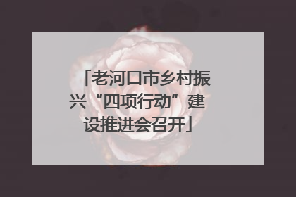 老河口市乡村振兴“四项行动”建设推进会召开