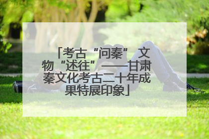 考古“问秦” 文物“述往”——甘肃秦文化考古二十年成果特展印象