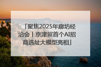 聚焦2025年廊坊经洽会丨京津冀首个AI招商选址大模型亮相