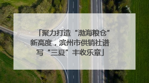 聚力打造“渤海粮仓”新高度，滨州市供销社谱写“三夏”丰收乐章