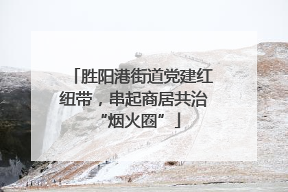 胜阳港街道党建红纽带，串起商居共治 “烟火圈”