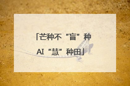 芒种不“盲”种 AI“慧”种田
