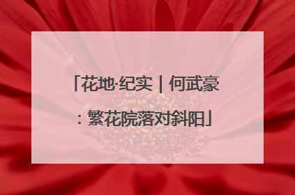 花地·纪实｜何武豪：繁花院落对斜阳