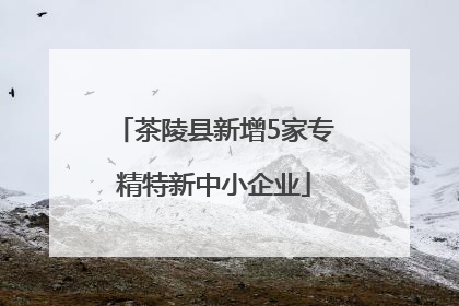 茶陵县新增5家专精特新中小企业