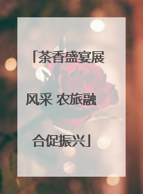 茶香盛宴展风采 农旅融合促振兴