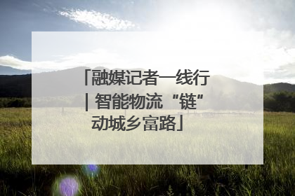 融媒记者一线行｜智能物流“链”动城乡富路