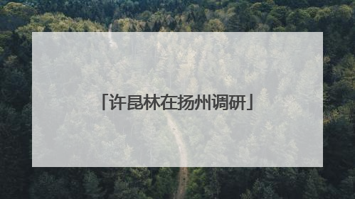 许昆林在扬州调研