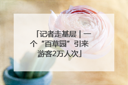 记者走基层｜一个“百草园”引来游客2万人次