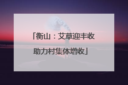 衡山：艾草迎丰收 助力村集体增收