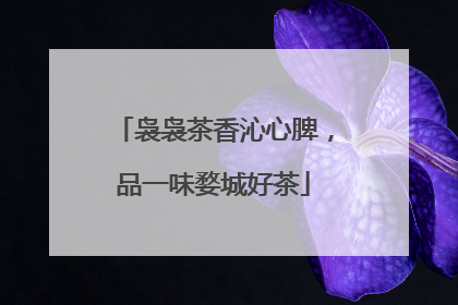 袅袅茶香沁心脾，品一味婺城好茶
