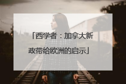 西学者：加拿大新政带给欧洲的启示