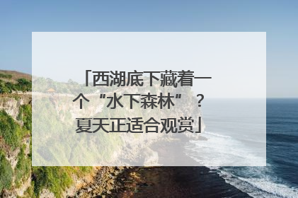 西湖底下藏着一个“水下森林”？夏天正适合观赏