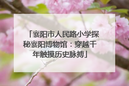 襄阳市人民路小学探秘襄阳博物馆：穿越千年触摸历史脉搏