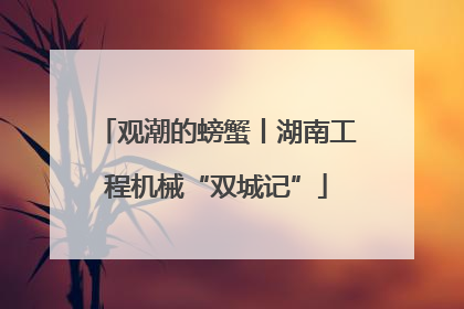 观潮的螃蟹丨湖南工程机械“双城记”