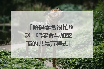 解码零食很忙&赵一鸣零食与加盟商的共赢方程式
