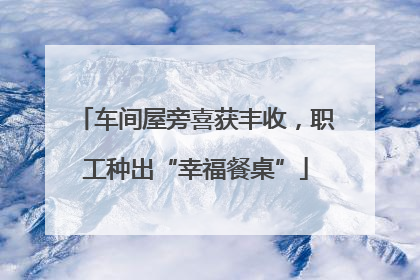 车间屋旁喜获丰收，职工种出“幸福餐桌”