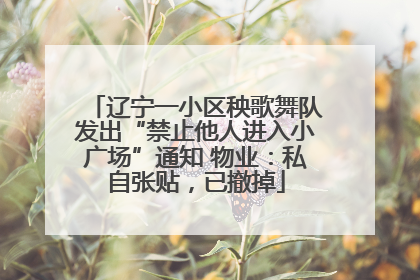 辽宁一小区秧歌舞队发出“禁止他人进入小广场”通知 物业：私自张贴，已撤掉