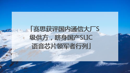 赛思获评国内通信大厂S级供方，跻身国产SLIC语音芯片领军者行列