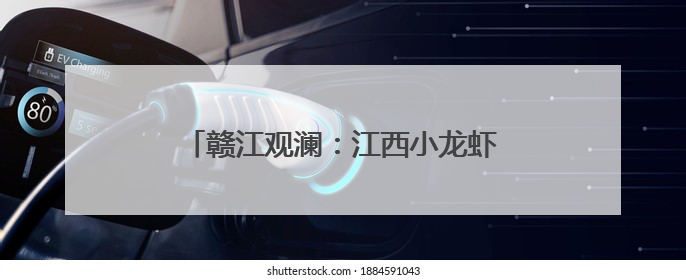 赣江观澜：江西小龙虾何以撬动百亿产业？