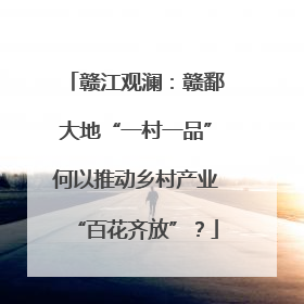 赣江观澜：赣鄱大地“一村一品”何以推动乡村产业“百花齐放”？