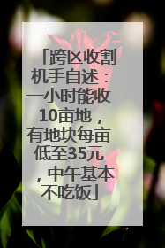 跨区收割机手自述：一小时能收10亩地，有地块每亩低至35元，中午基本不吃饭