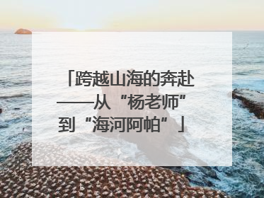跨越山海的奔赴——从“杨老师”到“海河阿帕”