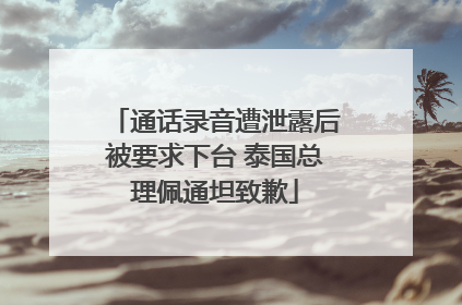 通话录音遭泄露后被要求下台 泰国总理佩通坦致歉