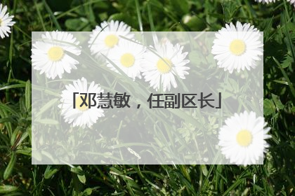 邓慧敏，任副区长