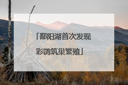鄱阳湖首次发现彩鹮筑巢繁殖