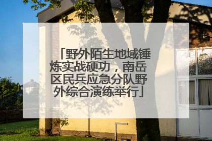 野外陌生地域锤炼实战硬功，南岳区民兵应急分队野外综合演练举行