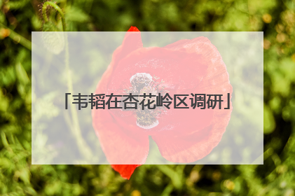 韦韬在杏花岭区调研