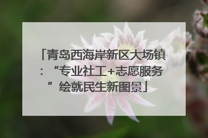 青岛西海岸新区大场镇：“专业社工+志愿服务”绘就民生新图景