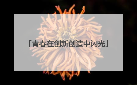 青春在创新创造中闪光