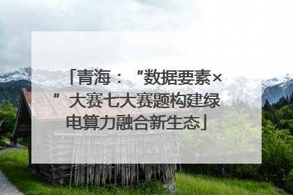 青海：“数据要素×”大赛七大赛题构建绿电算力融合新生态