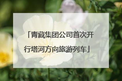 青藏集团公司首次开行塔河方向旅游列车