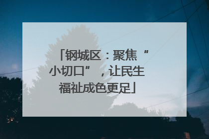 钢城区：聚焦“小切口”，让民生福祉成色更足