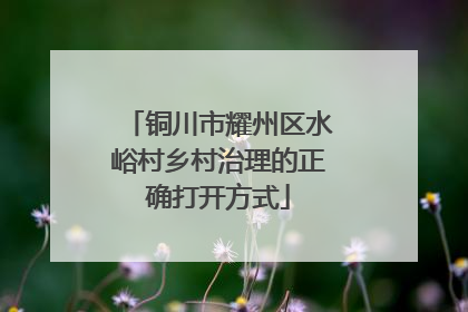 铜川市耀州区水峪村乡村治理的正确打开方式