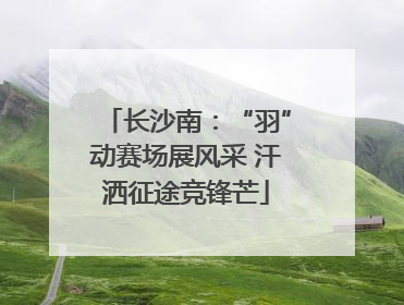 长沙南：“羽”动赛场展风采 汗洒征途竞锋芒