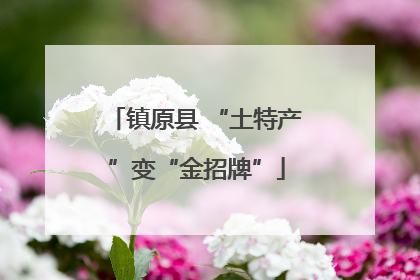 镇原县 “土特产”变“金招牌”