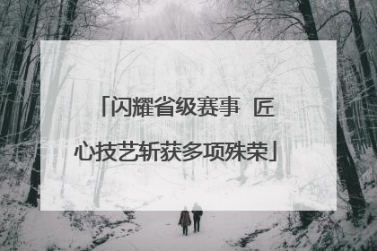 闪耀省级赛事  匠心技艺斩获多项殊荣
