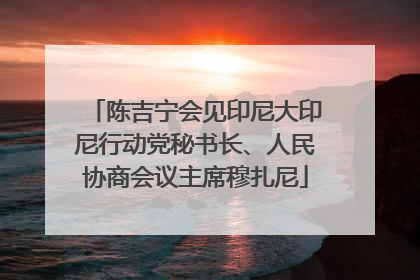 陈吉宁会见印尼大印尼行动党秘书长、人民协商会议主席穆扎尼