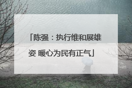 陈强：执行维和展雄姿 暖心为民有正气