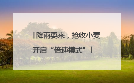 降雨要来，抢收小麦开启“倍速模式”