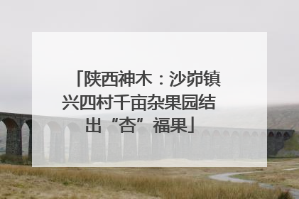 陕西神木:沙峁镇兴四村千亩杂果园结出“杏”福果