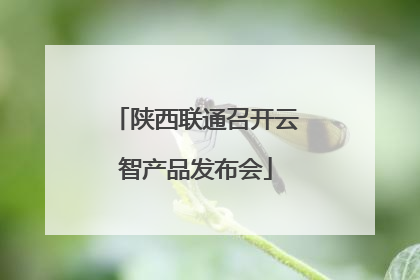 陕西联通召开云智产品发布会
