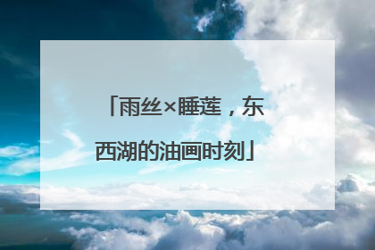 雨丝×睡莲，东西湖的油画时刻