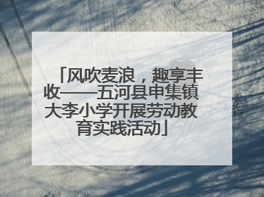 风吹麦浪，趣享丰收——五河县申集镇大李小学开展劳动教育实践活动