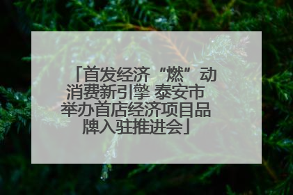 首发经济“燃”动消费新引擎 泰安市举办首店经济项目品牌入驻推进会