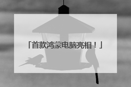 首款鸿蒙电脑亮相！
